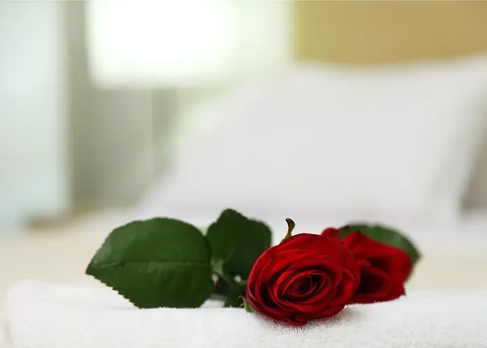 Olivastro Διαμέρισμα *