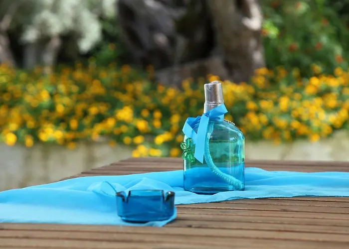 Διαμέρισμα Olivastro *