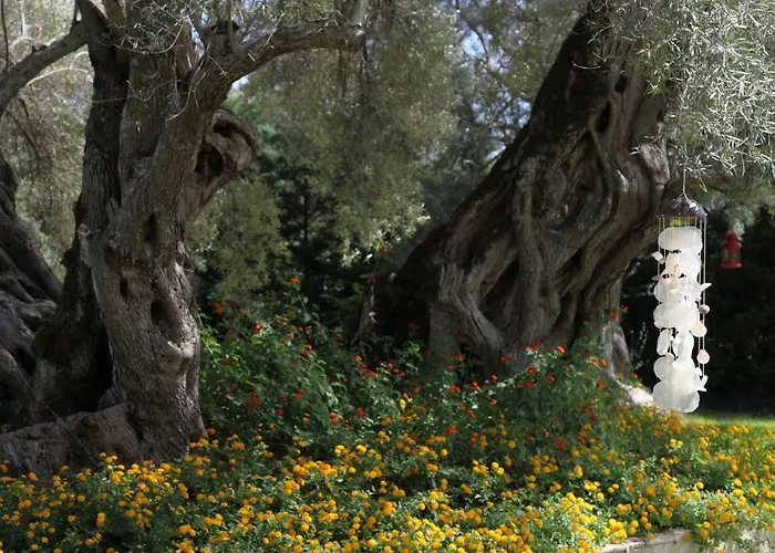 Olivastro Διαμέρισμα