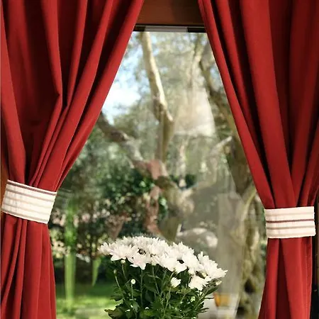 Olivastro 아파트 *