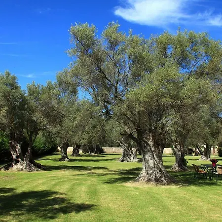 Apartment Olivastro Lefkáda