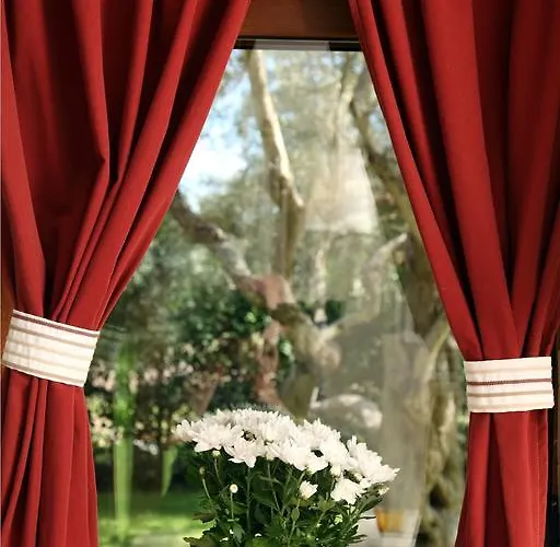 Olivastro Apartment *