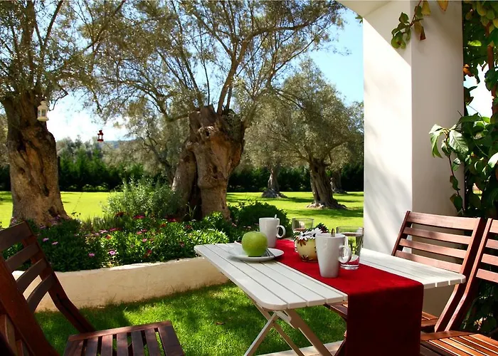 Apartment Olivastro *