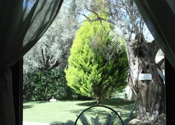 Apartment Olivastro Lefkada City