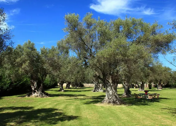 Apartment Olivastro Lefkada City